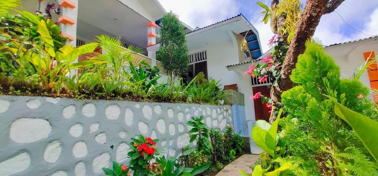 Bintang Bungalow Tour & Travel Kelimutu Eksteriør bilde
