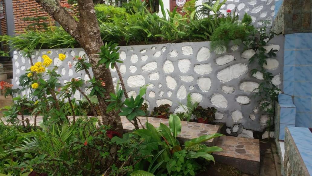 Bintang Bungalow Tour & Travel Kelimutu Eksteriør bilde